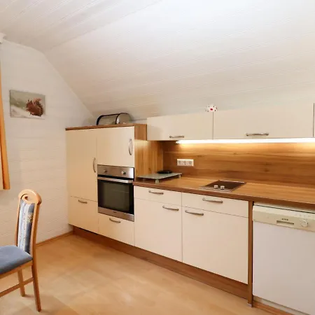 Tratter Apartment Schladming